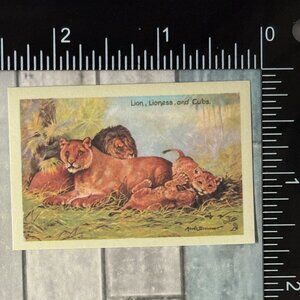 🌀10/$10🌀 Classic Grassland Animals Reusable Washi Sticker Decal